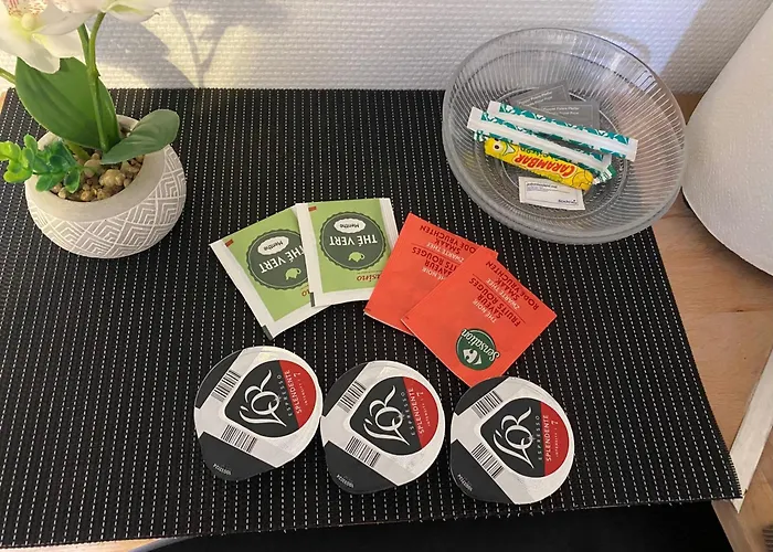 Apartament En Rez-de-chausse, De 21m 2 *